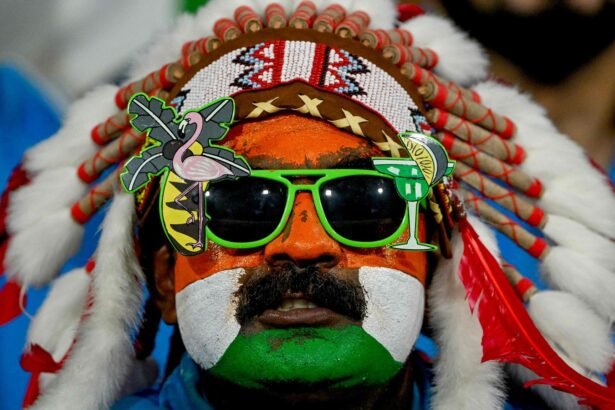 Changing Face of Cricket Fandom