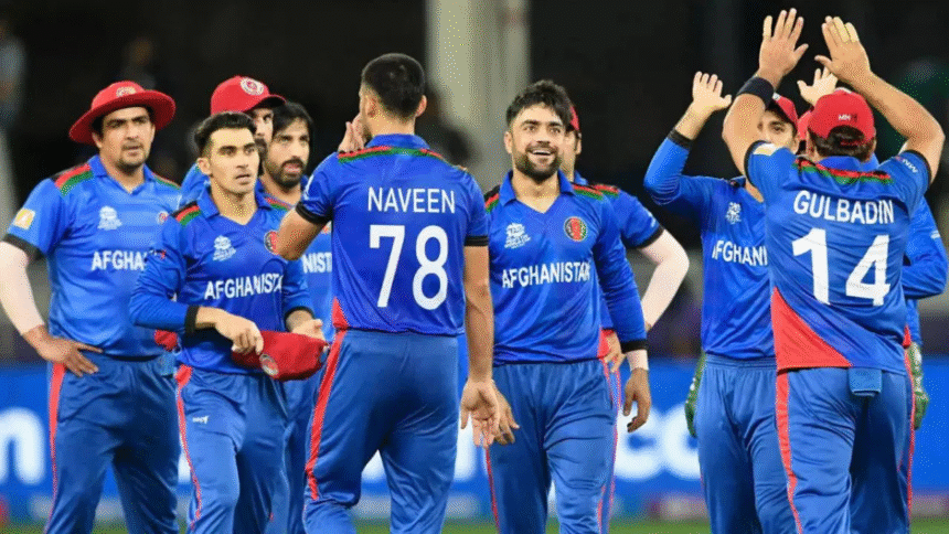 T20 World Cup 2024 Top 5 Underdog Teams