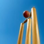 Science Behind Cricket