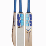 SS Cricket Bat Maintenance
